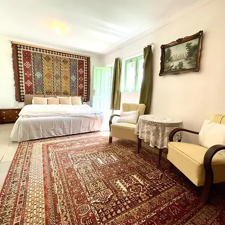 Terravino Retreat At Balaton 别墅 *