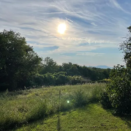 Terravino Retreat At Balaton *