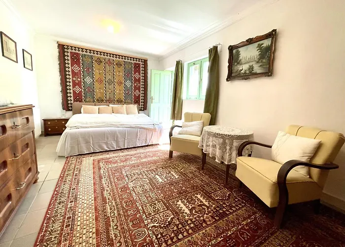 Terravino Retreat At Balaton 别墅 *