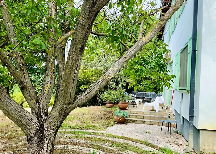 Terravino Retreat At Balaton 别墅 *